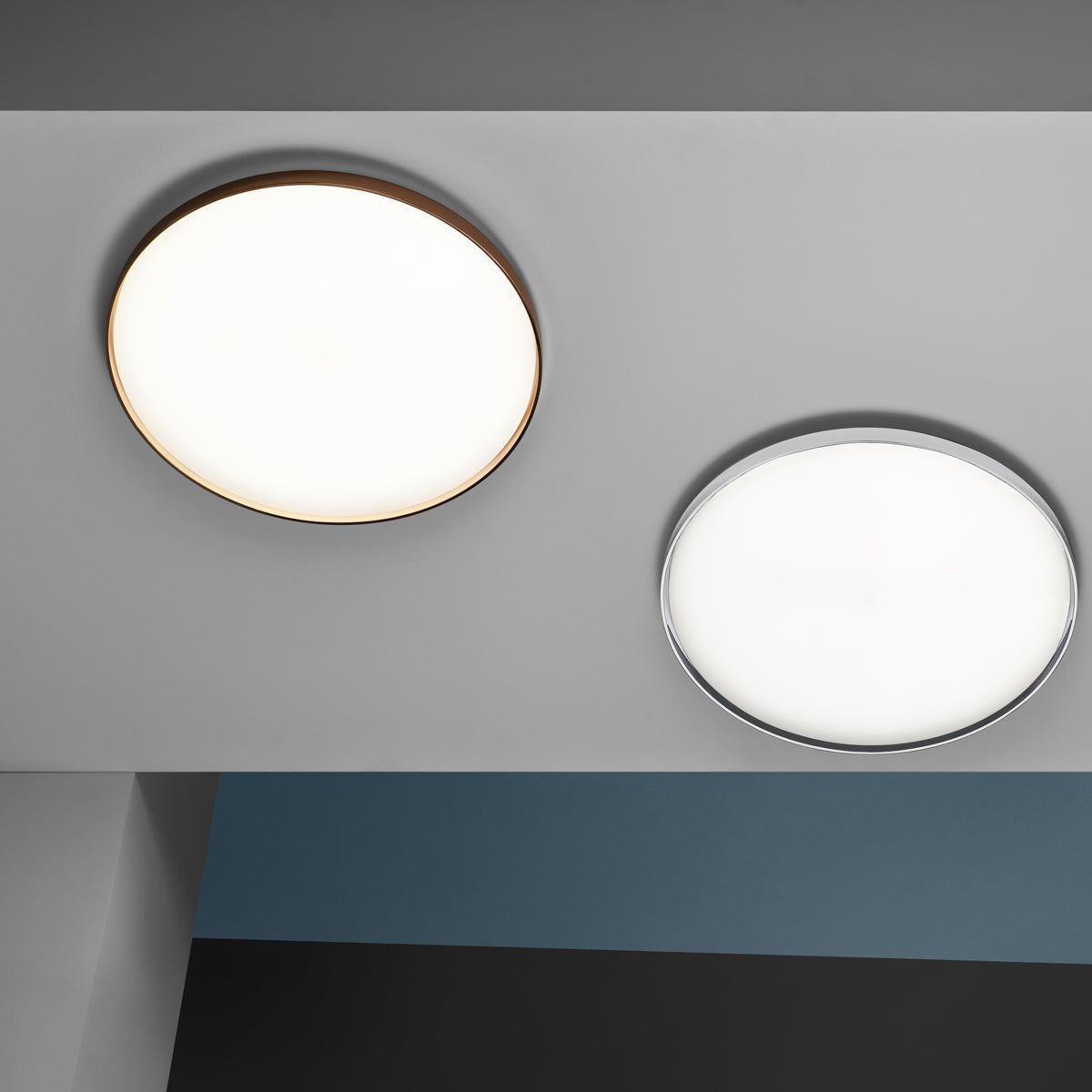 Clara Ceiling and Wall Lamp