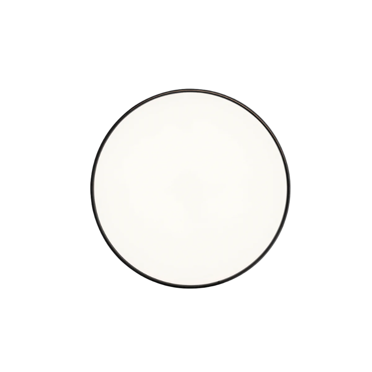 Clara Ceiling and Wall Lamp