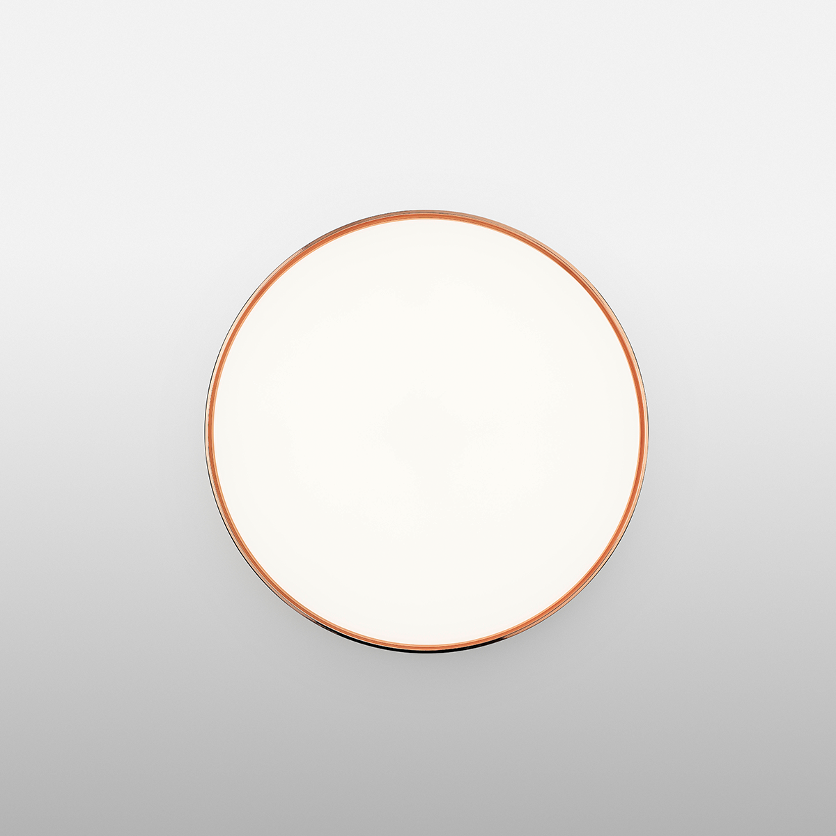 Clara Ceiling and Wall Lamp