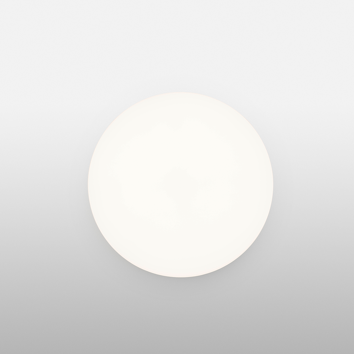 Clara Ceiling and Wall Lamp
