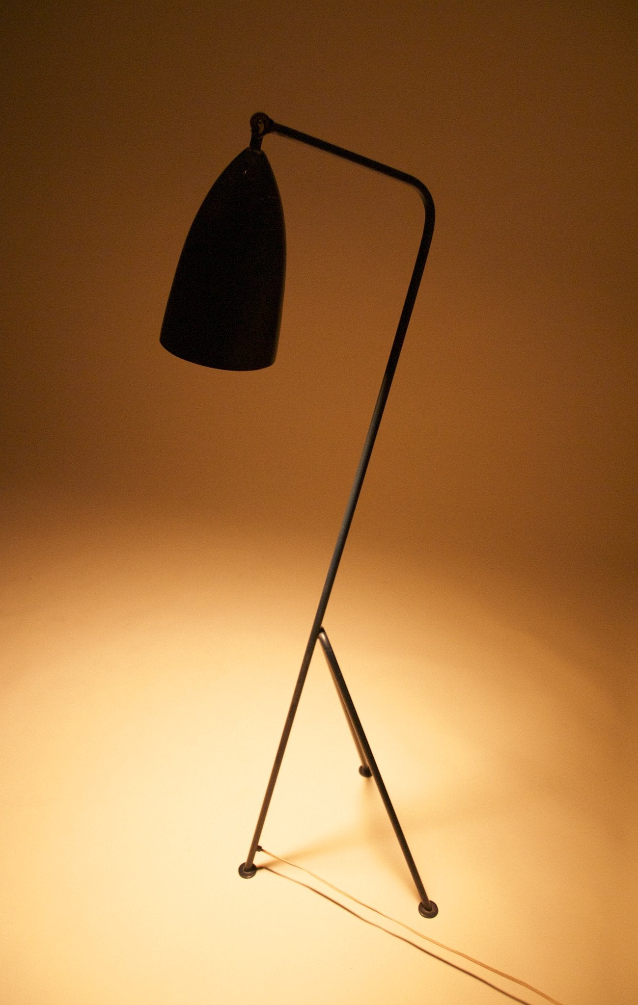 Grasshopper Floor Lamp