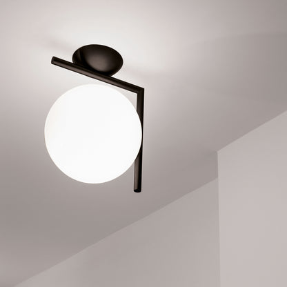 IC Ceiling and Wall Lamp