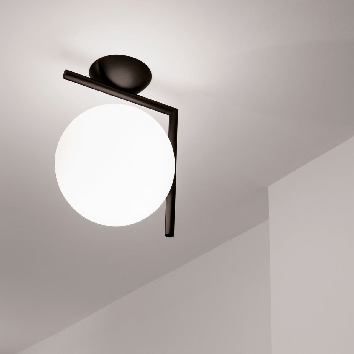 IC Wall and Ceiling Lamp