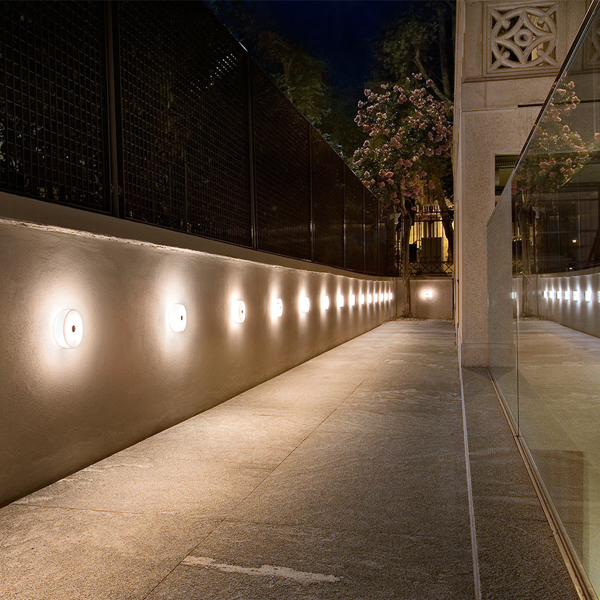 Mini Button Ceiling and Wall Lamp
