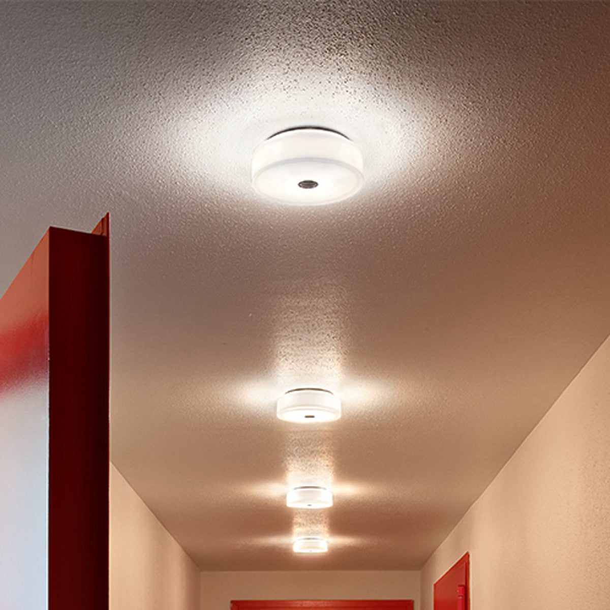 Mini Button Ceiling and Wall Lamp