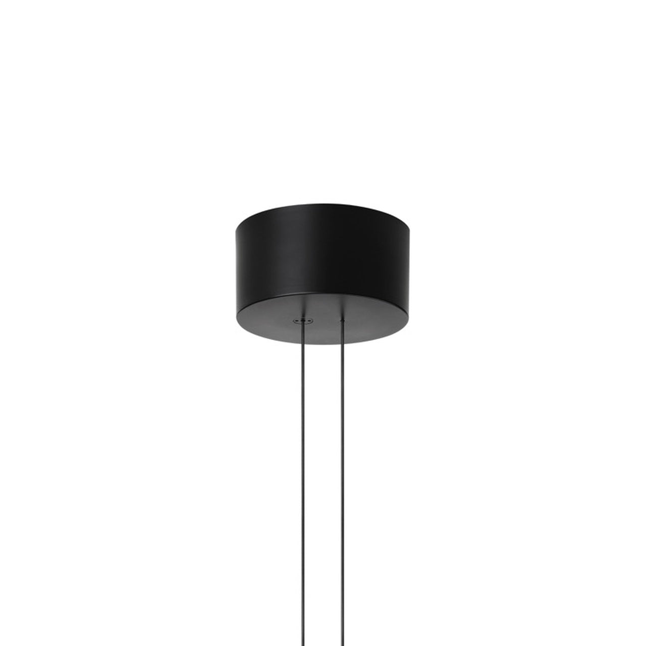 Arrangements Pendant Lamp