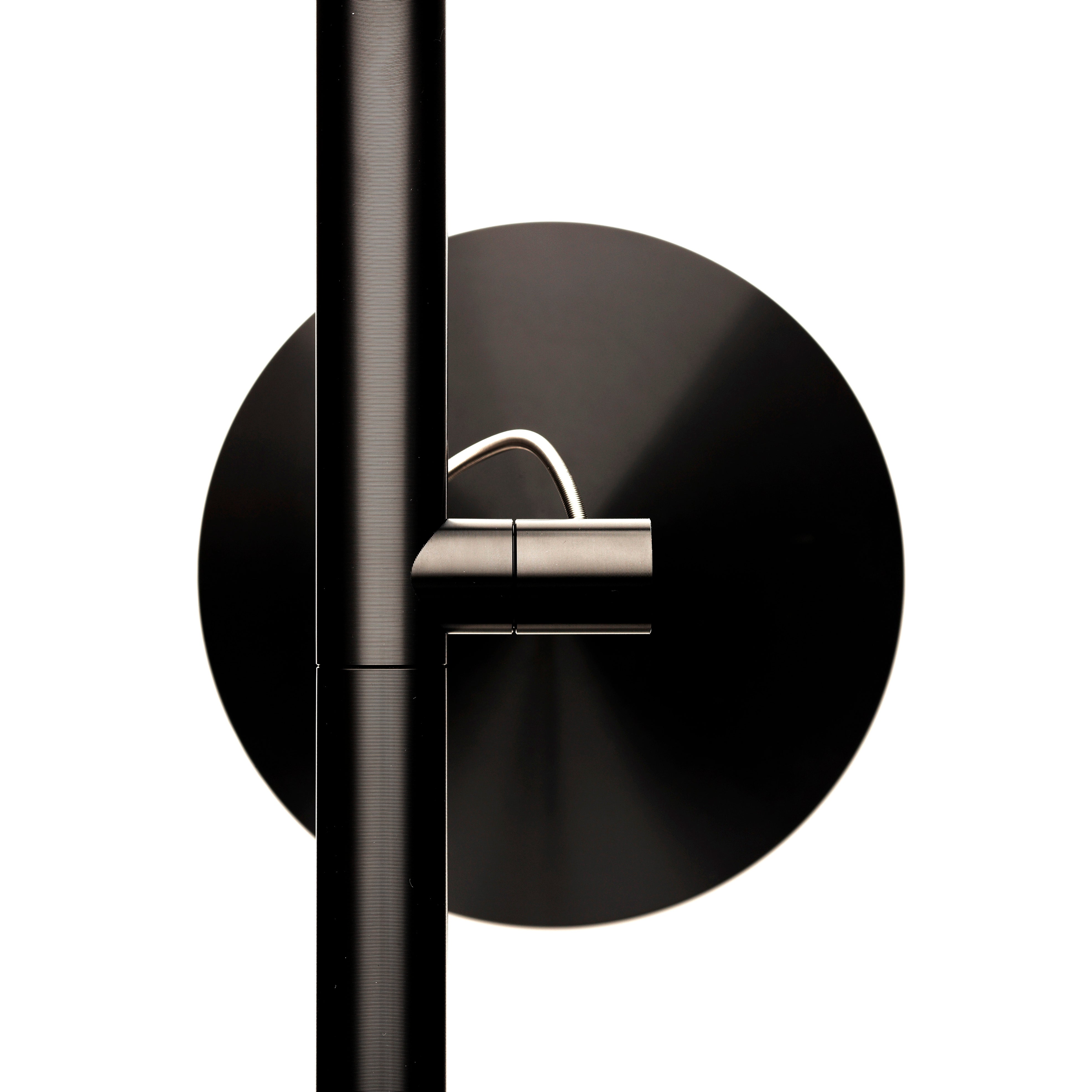 Brazo Table Lamp