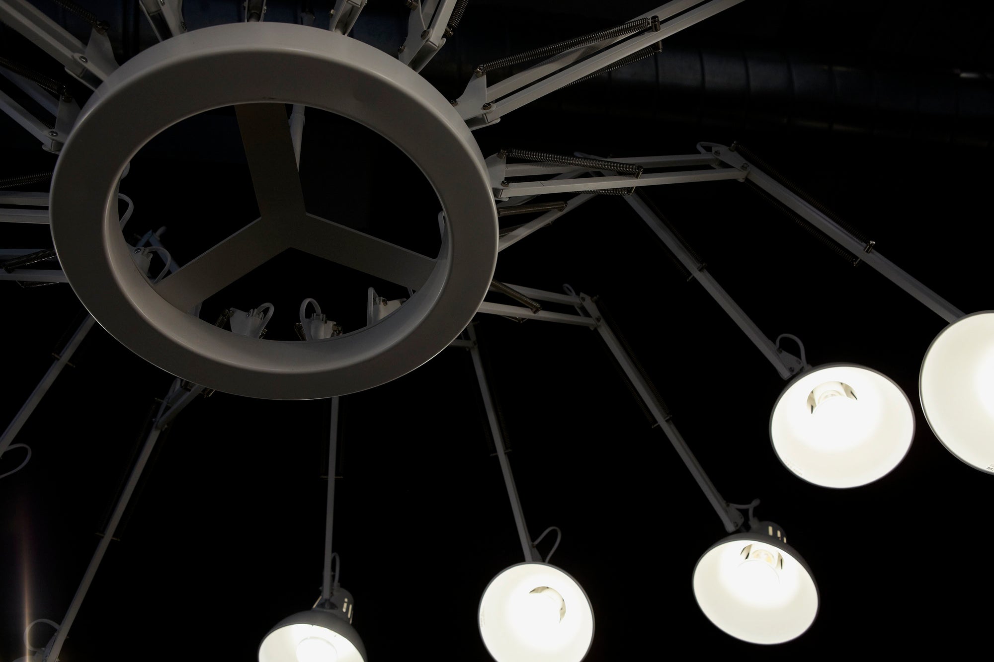 Dear Ingo Suspension Lamp