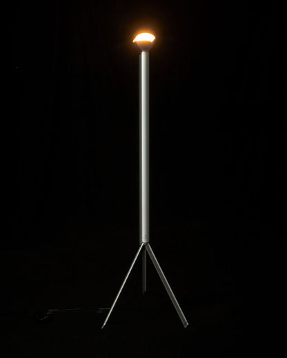 Luminator Floor Lamp