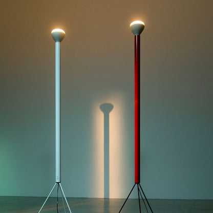 Luminator Floor Lamp