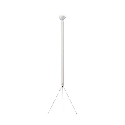 Luminator Floor Lamp