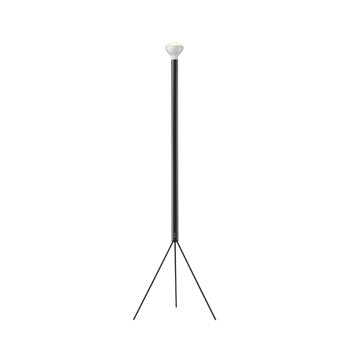 Luminator Floor Lamp