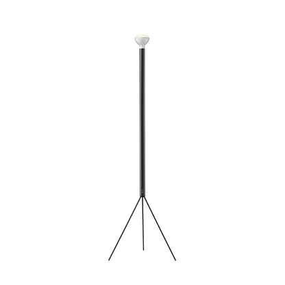 Luminator Floor Lamp